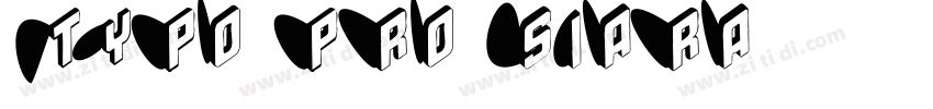 typo pro siara字体转换